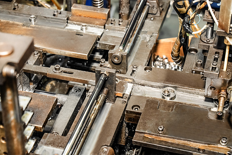 Thiết bị thực vật